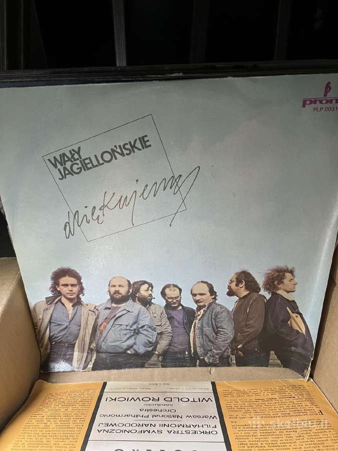Vinilines ploksteles - nuotraukos Nr. 3