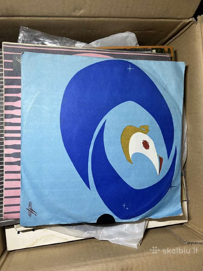 Vinilines ploksteles - nuotraukos Nr. 28