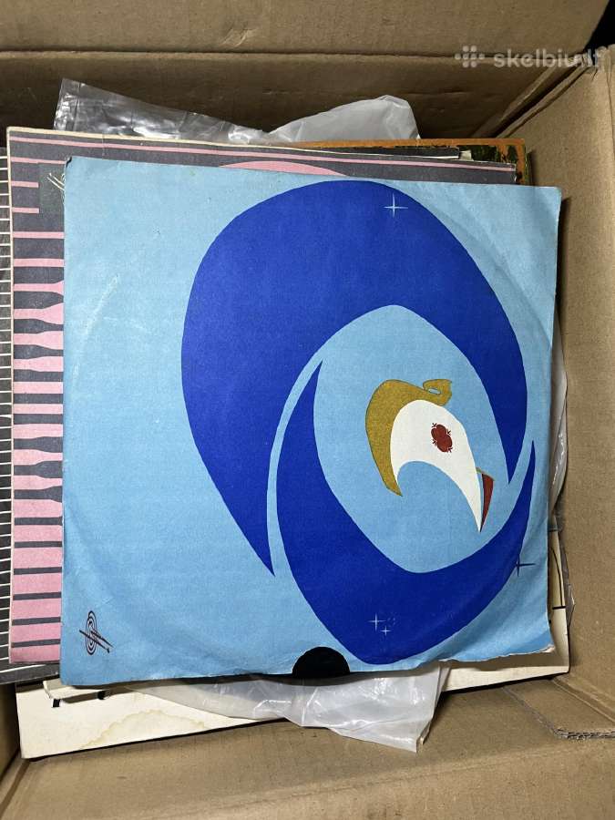 Vinilines ploksteles - nuotraukos Nr. 28