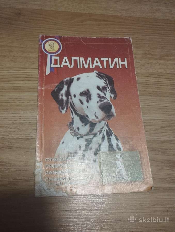 Dalmantinai - knyga