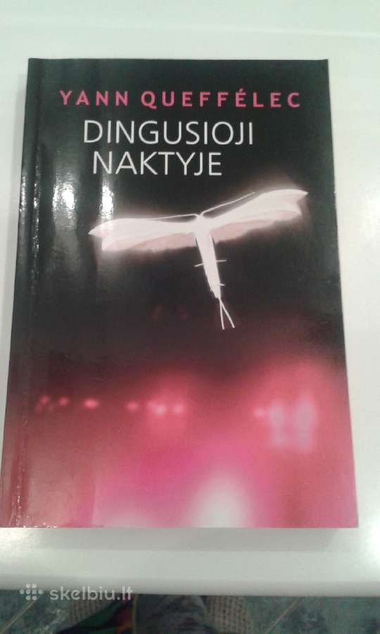 Knyga Dingusioji Naktyje