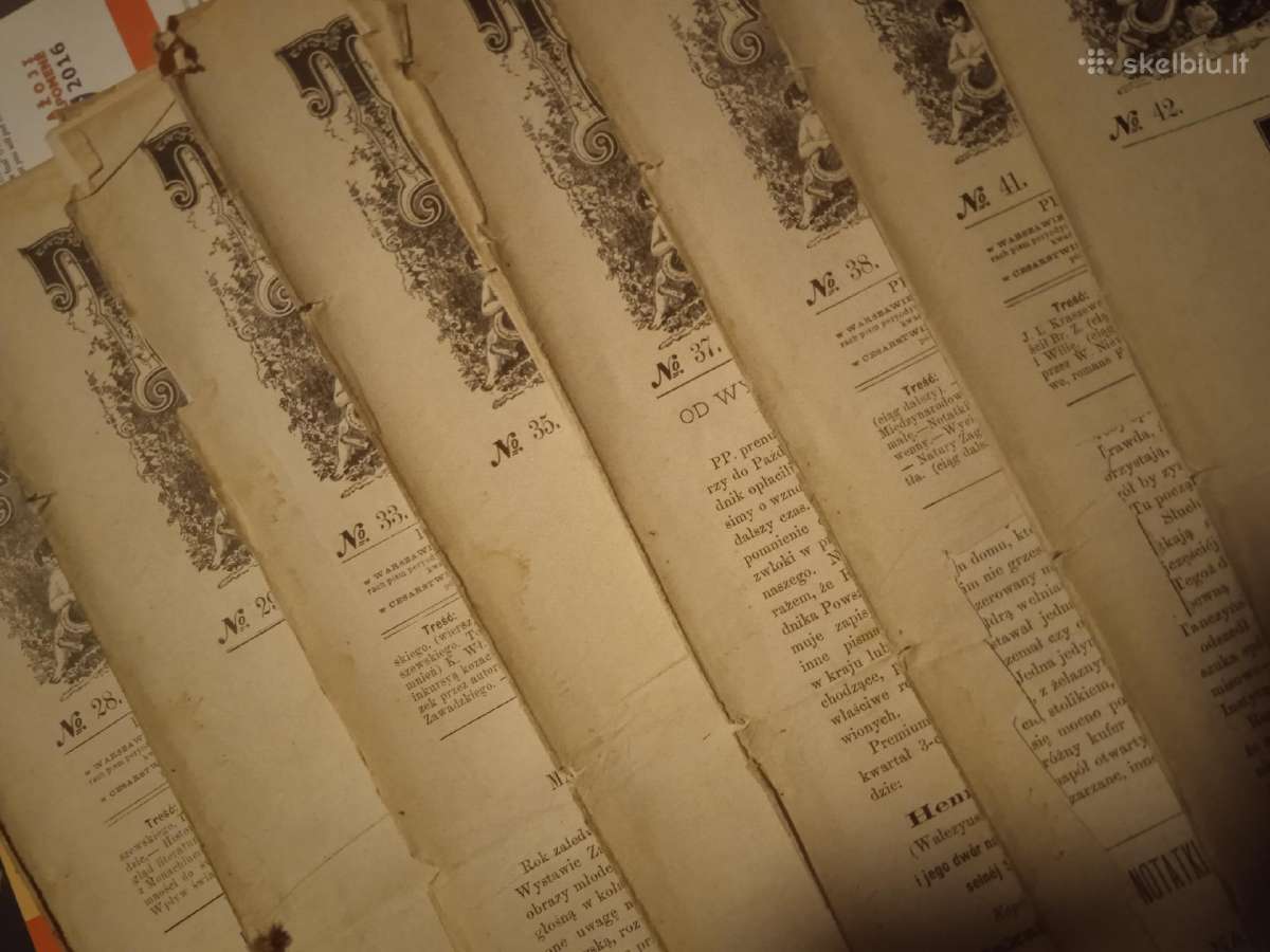1879 metu laikrasciai su graviurom - nuotraukos Nr. 13