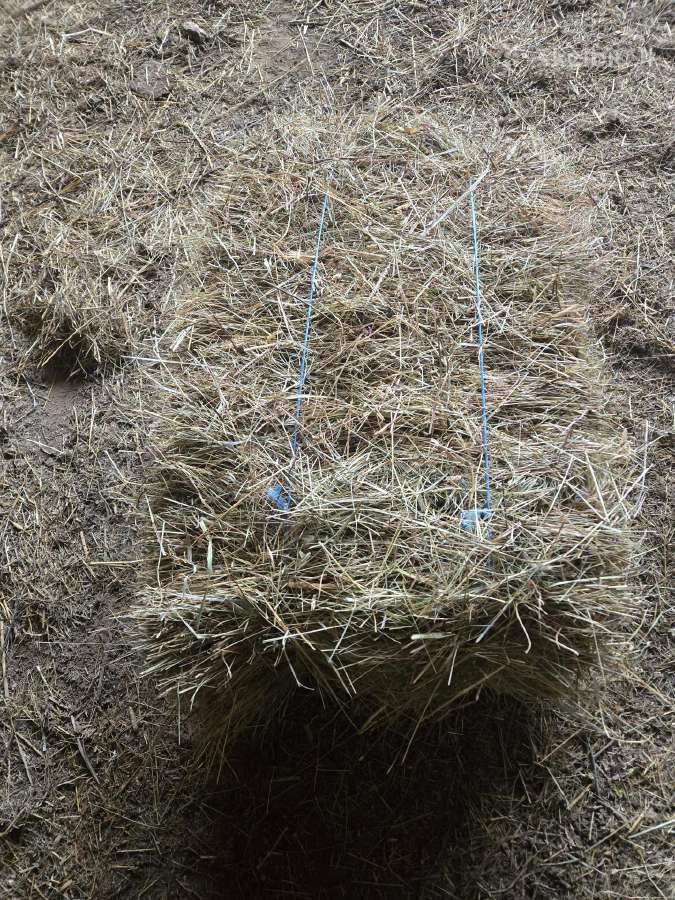Šienas kitkomis ir rulonais. Galu atvežti - nuotraukos Nr. 15