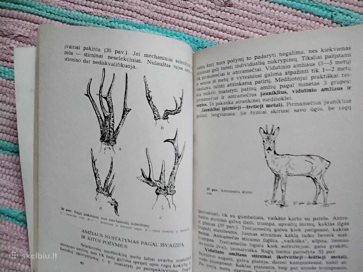 Kanopinių žvėrių medžioklės ūkis Jonas Sasnauskas - nuotraukos Nr. 3