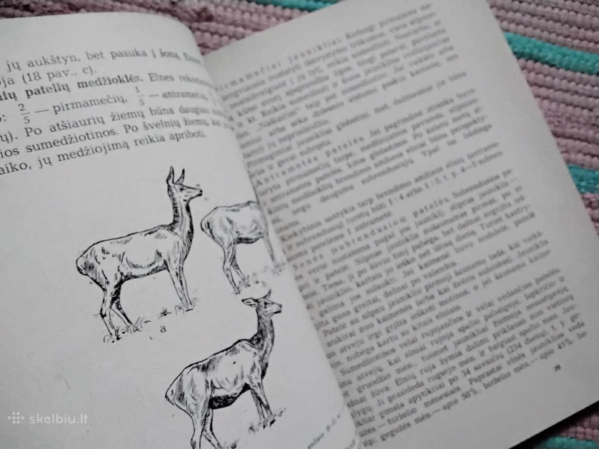 Kanopinių žvėrių medžioklės ūkis Jonas Sasnauskas - nuotraukos Nr. 5