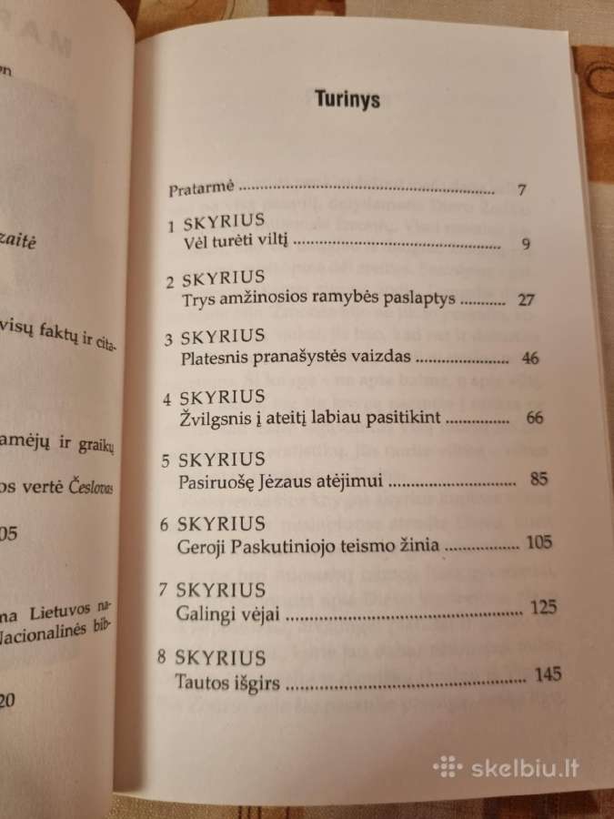 Viltis anapus rytojaus - nuotraukos Nr. 3