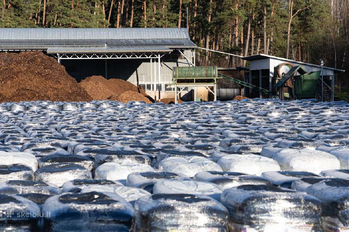 Pušies žievės spalvotas medžio drožlių mulčias