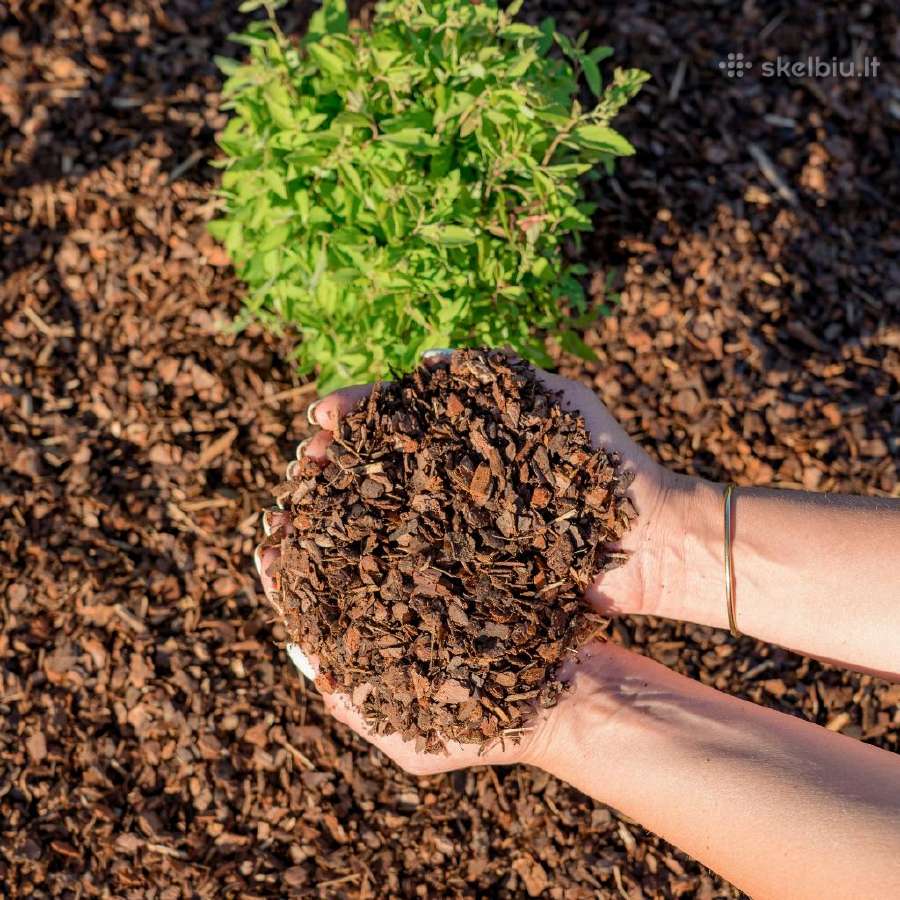 Pušies žievės spalvotas medžio drožlių mulčias - nuotraukos Nr. 7