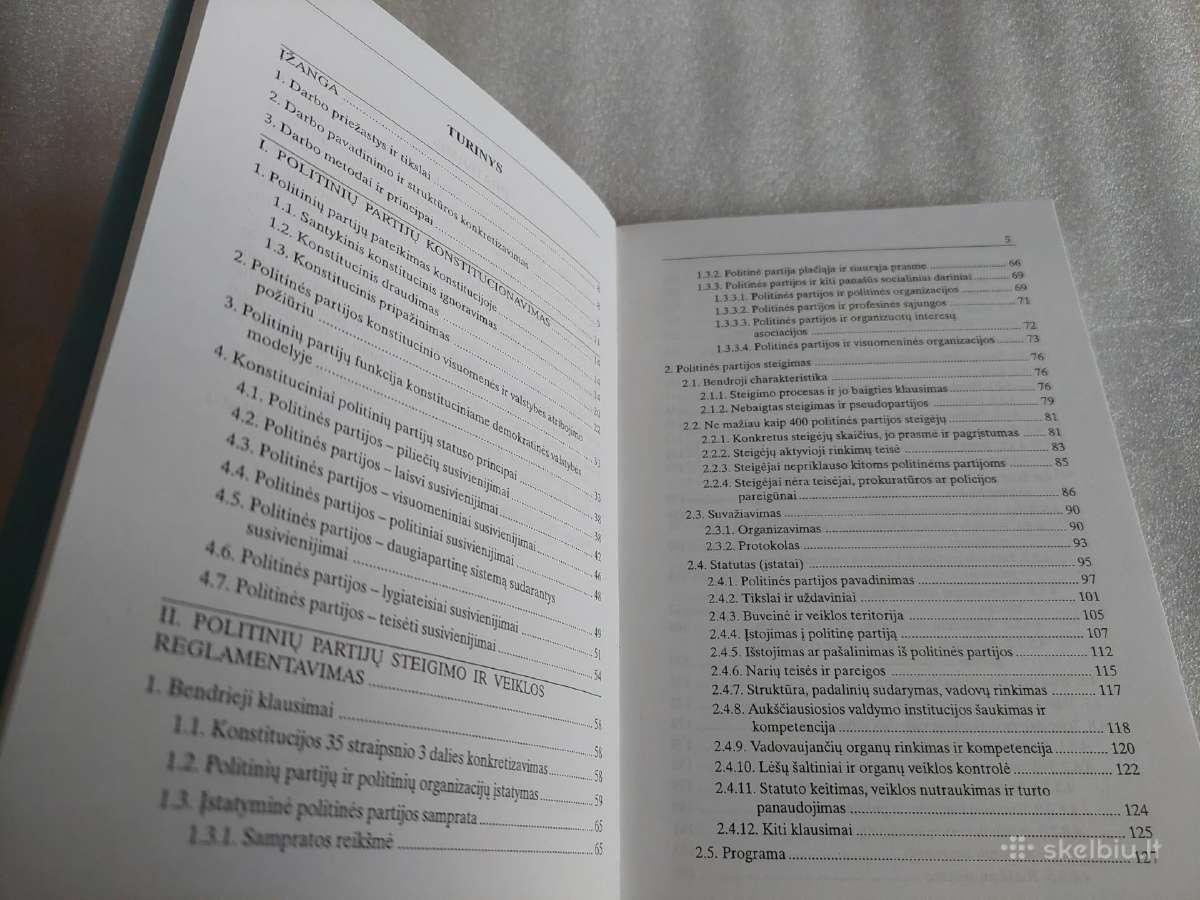 Politinių partijų institucionalizavimas - nuotraukos Nr. 3