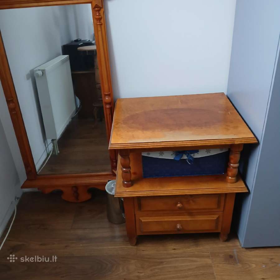 Veidrodis su spintele
