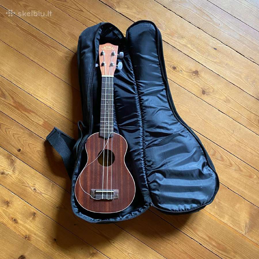 Ukulelė ir dėklas