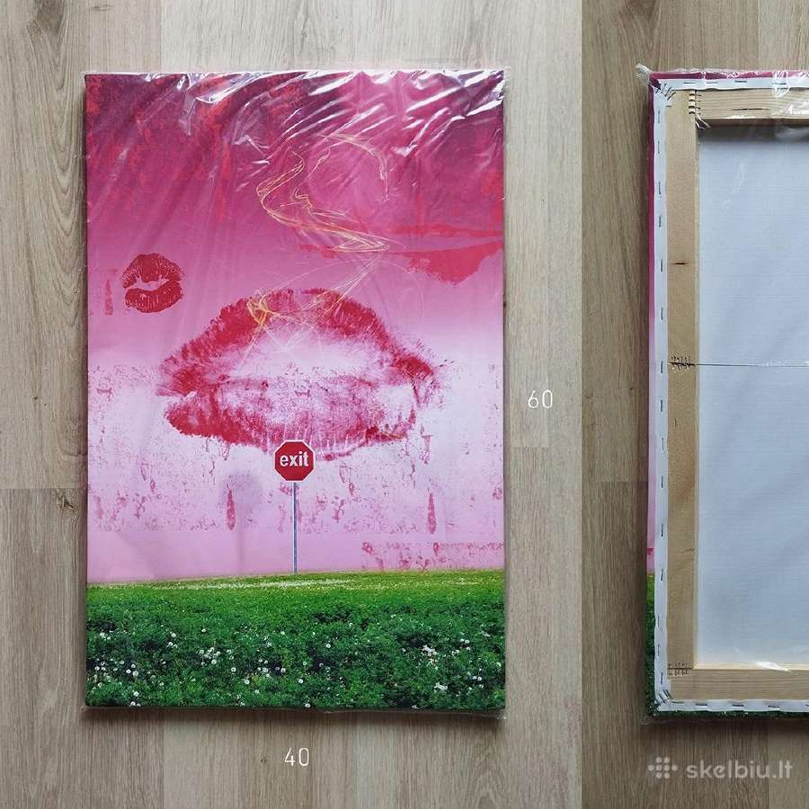 Vienetinis print'as ant drobės - nuotraukos Nr. 2