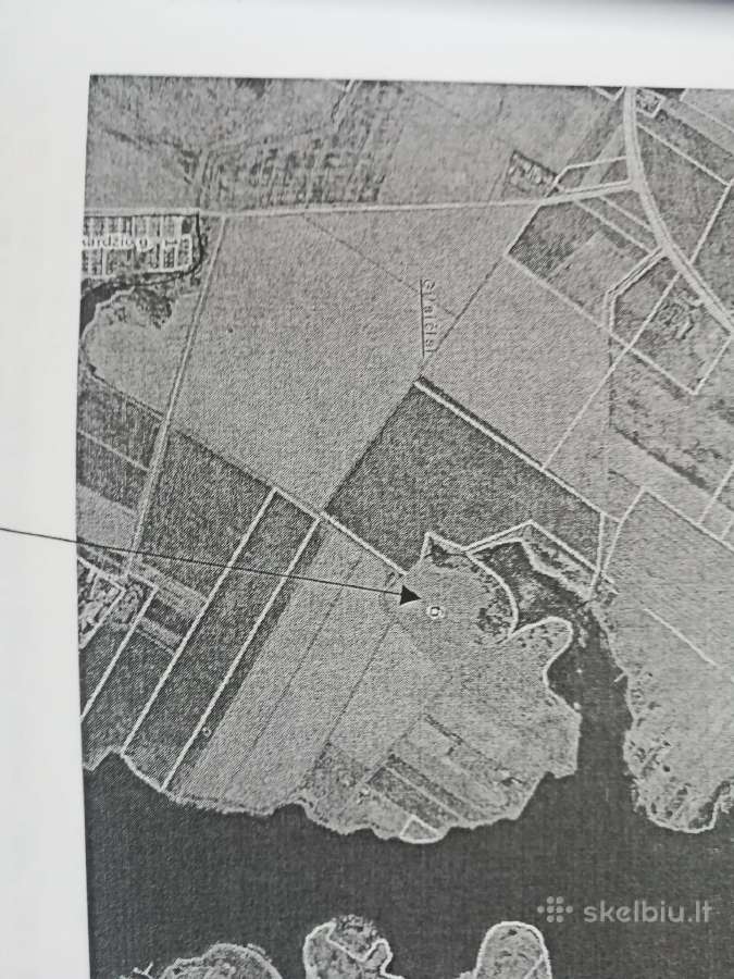 1,33ha sklypas prie Šiaulių jūros - nuotraukos Nr. 12