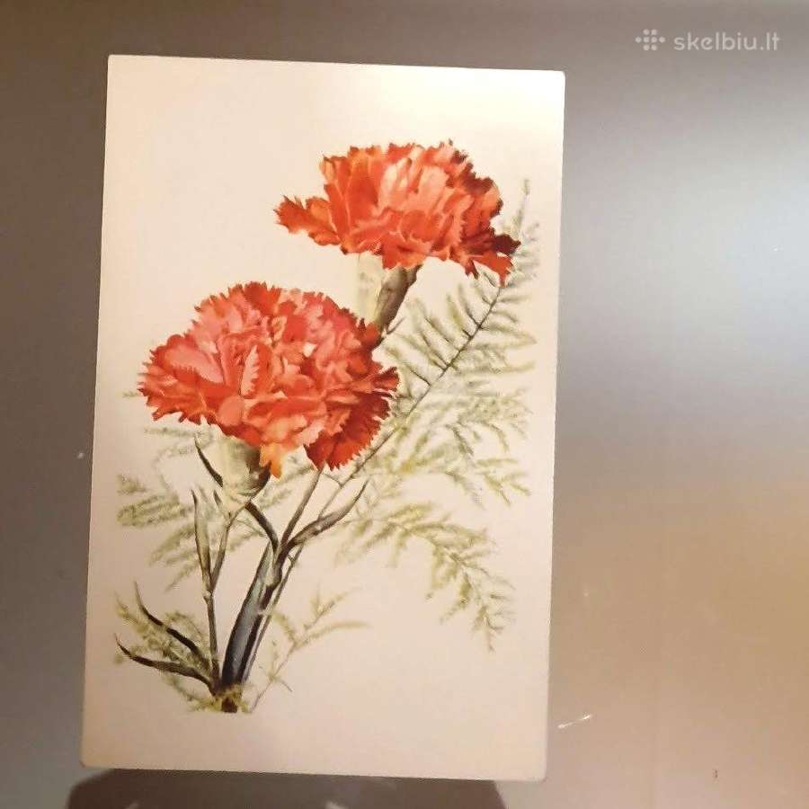 Senovinė atvirutė