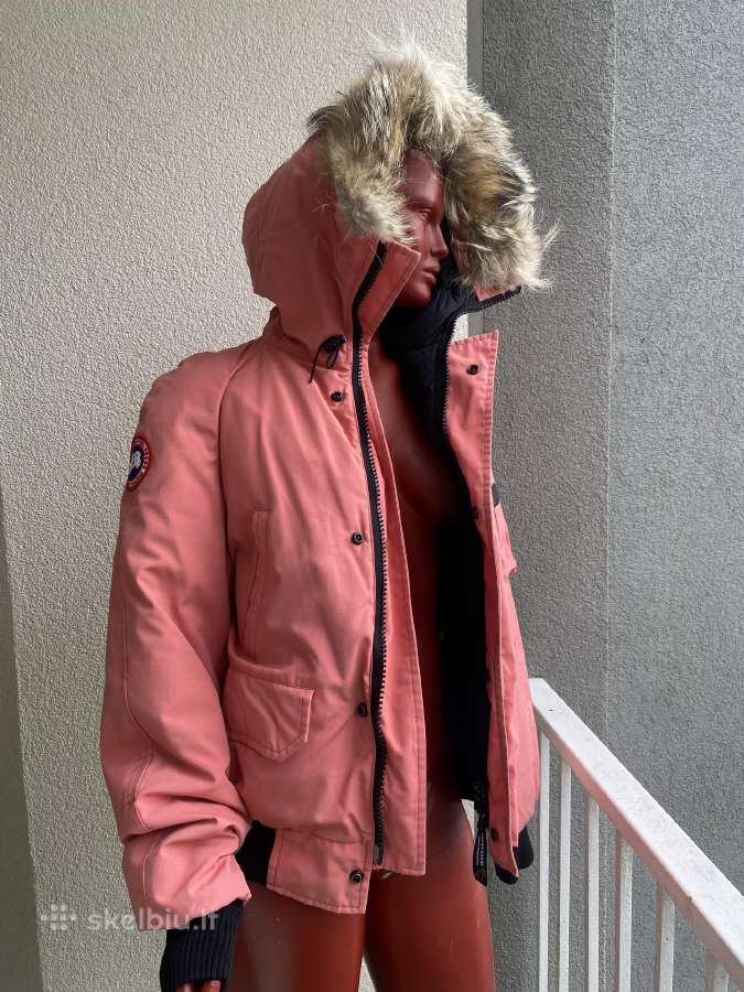 Canada goose striukė