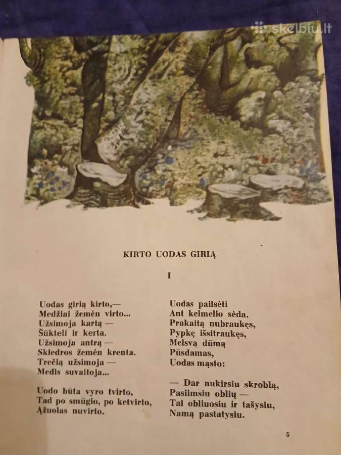 Miško pasakos - nuotraukos Nr. 3