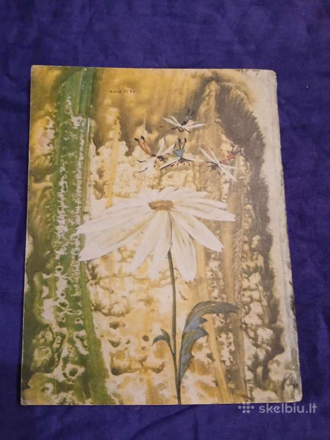 Miško pasakos - nuotraukos Nr. 7