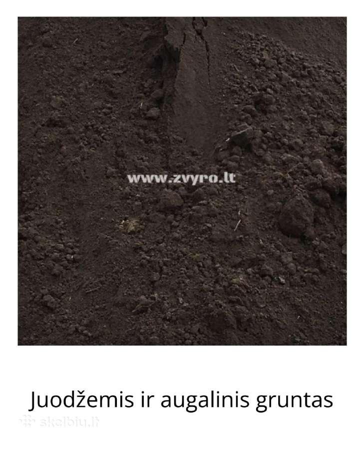 Žvyro ir kitų medžiagų pristatymas Klaipėdos raj. - nuotraukos Nr. 21
