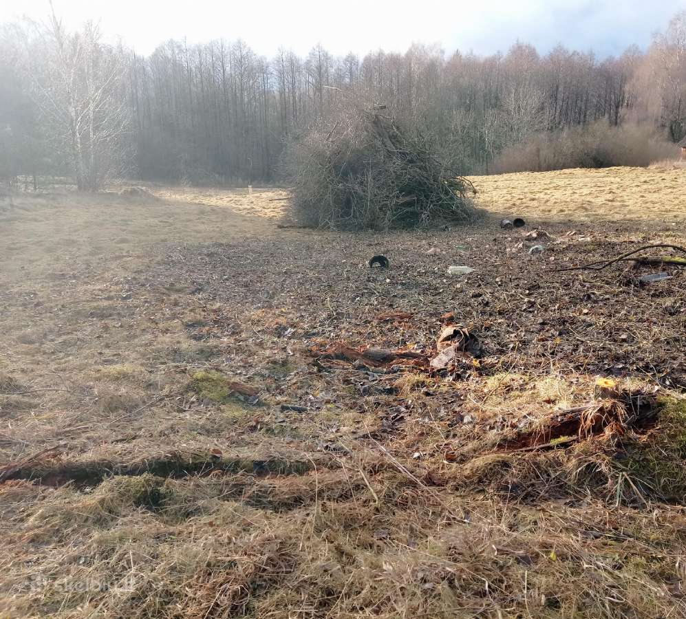 Malkos skaldytos ir kaladem. Aplinkos tvarkymas. - nuotraukos Nr. 4