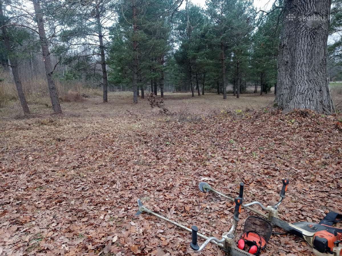 Malkos skaldytos ir kaladem. Aplinkos tvarkymas. - nuotraukos Nr. 6