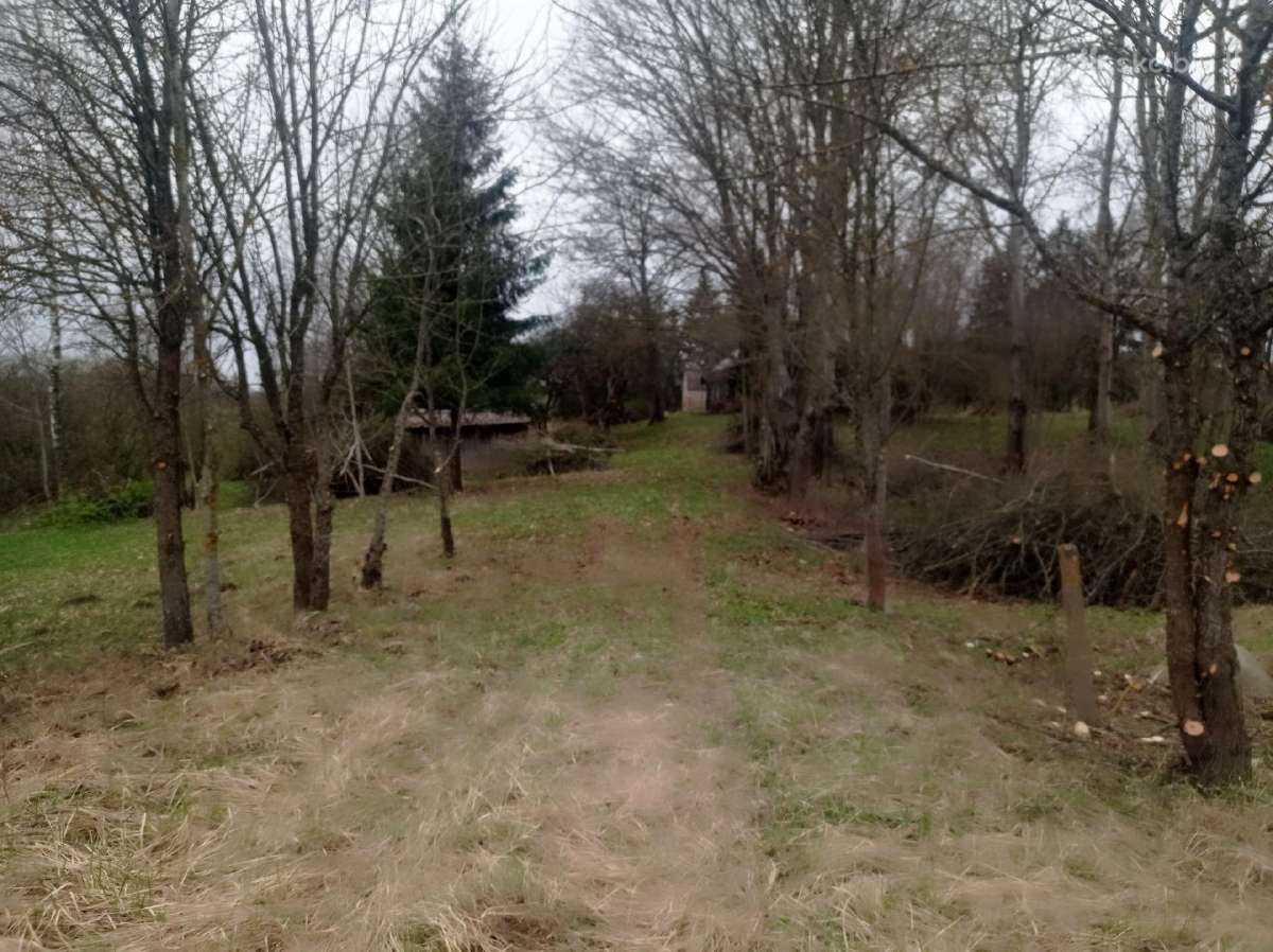 Malkos skaldytos ir kaladem. Aplinkos tvarkymas. - nuotraukos Nr. 12