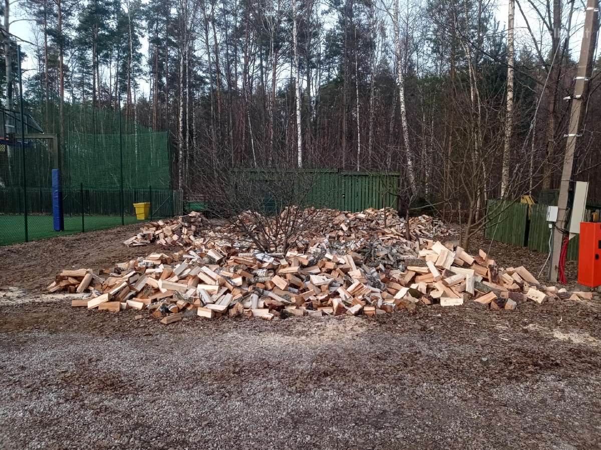 Malkos skaldytos ir kaladem. Aplinkos tvarkymas. - nuotraukos Nr. 13