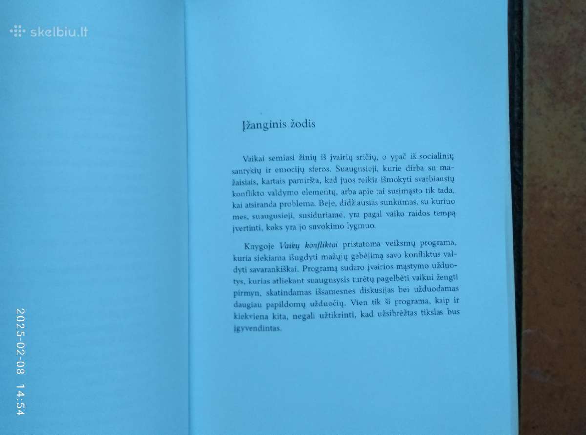 Chantal Theriault "Vaikų konfliktai" 2009 metai - nuotraukos Nr. 8