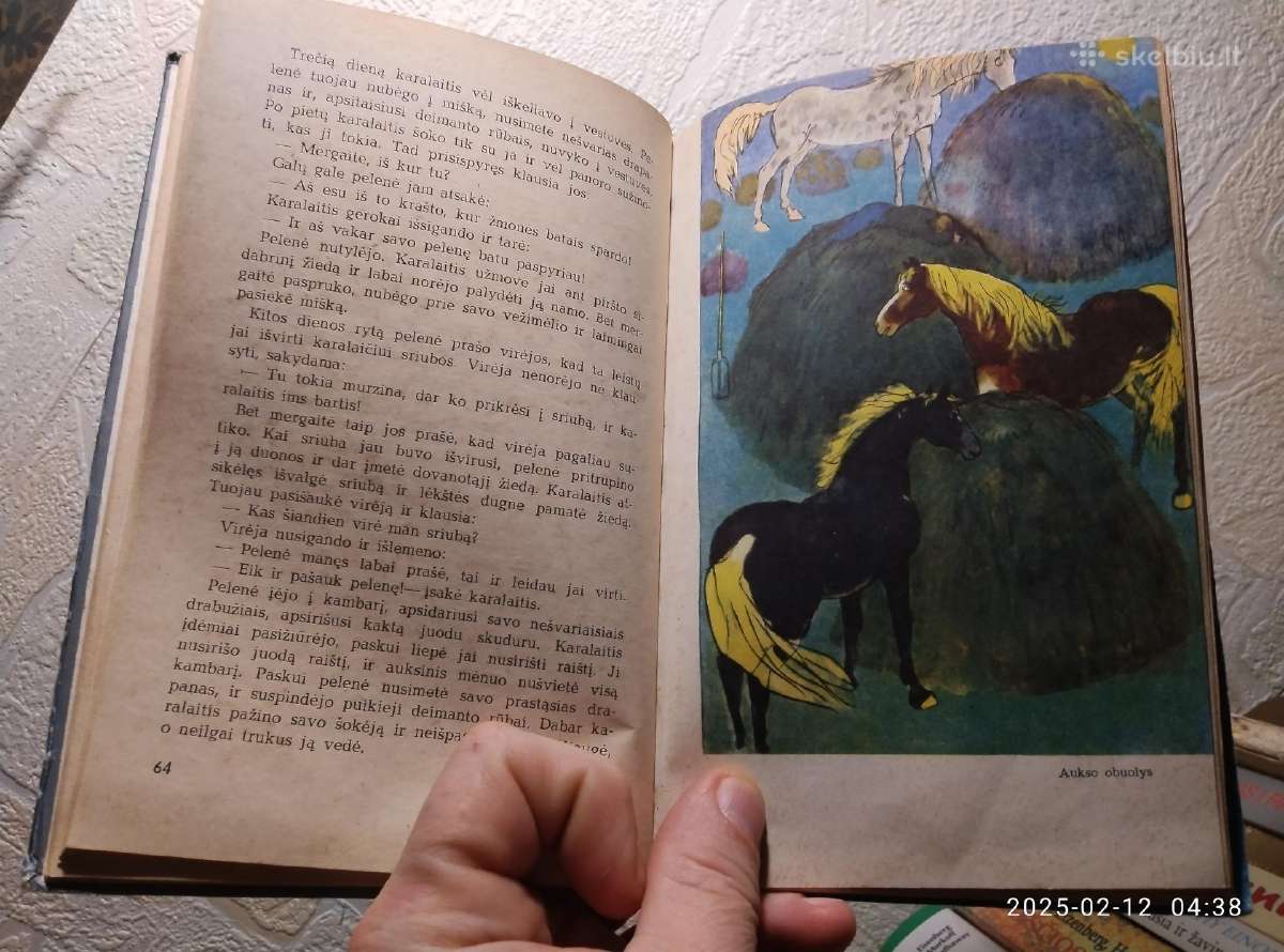 Sorbų pasakos 1971 metai - nuotraukos Nr. 5