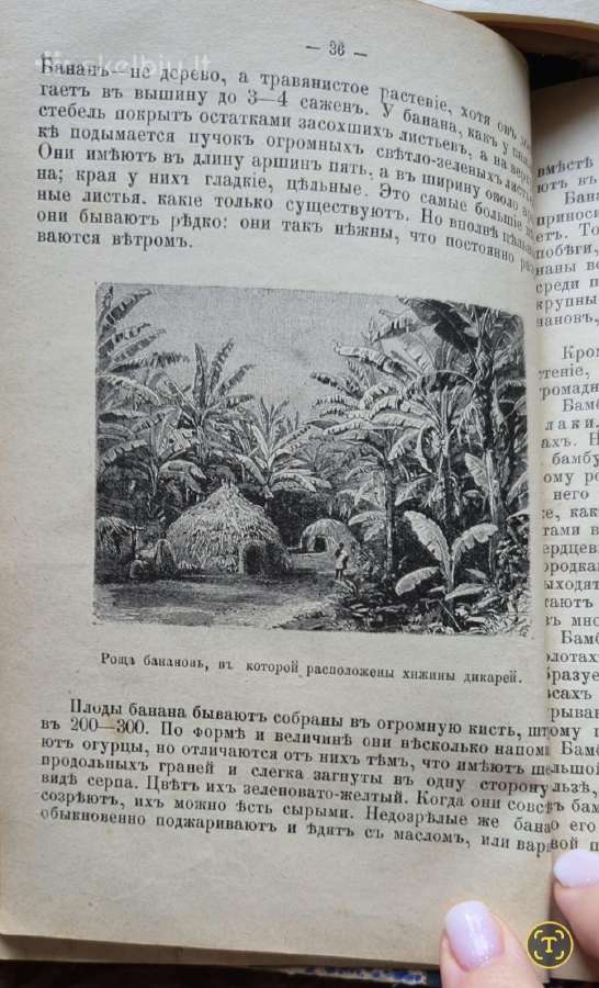 Dvi antikvarinės knygos - nuotraukos Nr. 6