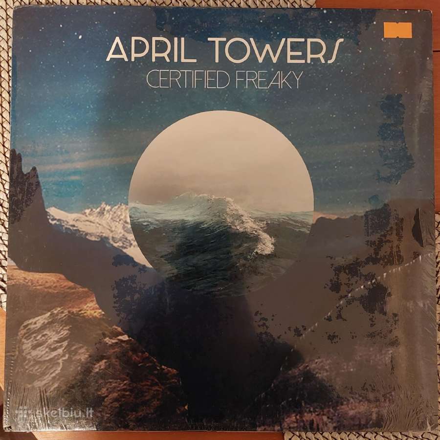 Daug vinilinių plokštelių - nuotraukos Nr. 10