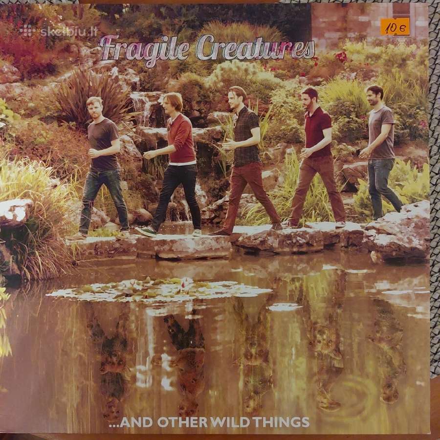 Daug vinilinių plokštelių - nuotraukos Nr. 11