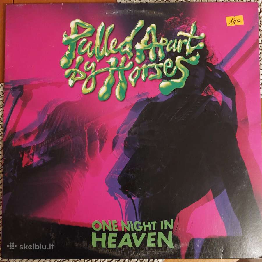 Daug vinilinių plokštelių - nuotraukos Nr. 24