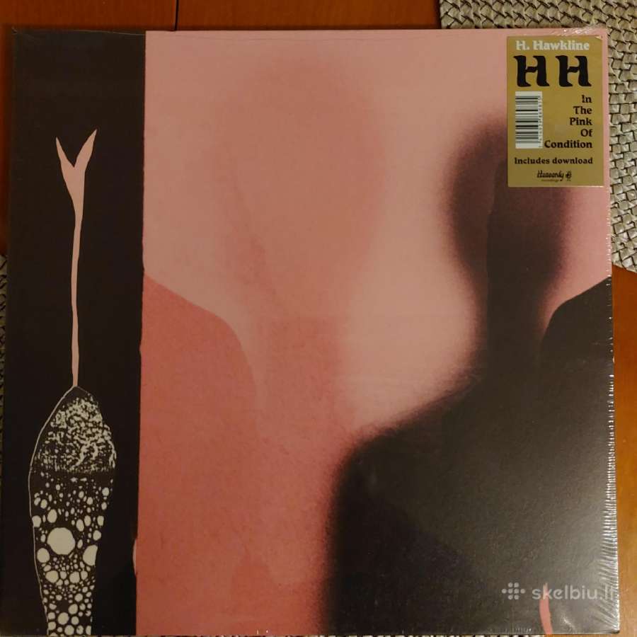Daug vinilinių plokštelių