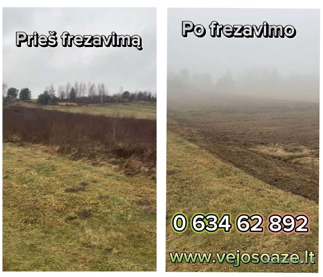 Vejos įrengimas / Apleistų sklypų frezavimas - nuotraukos Nr. 4