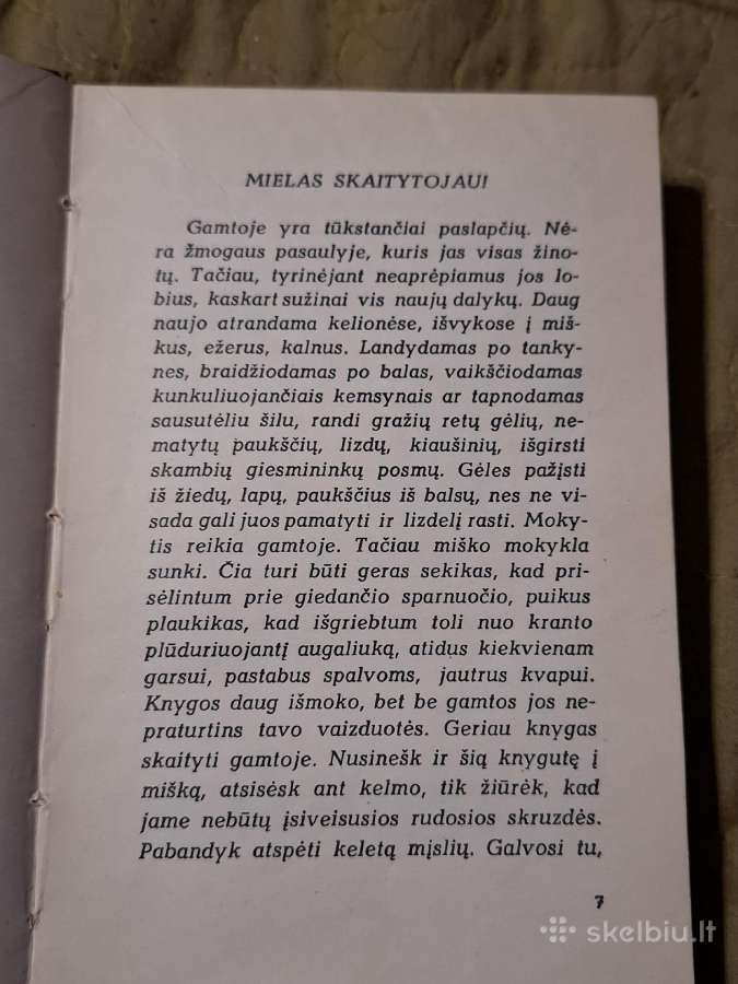 Mįslės - nuotraukos Nr. 18