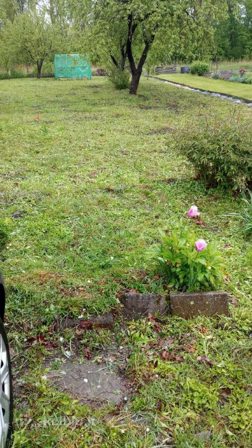 Sodo sklypas su nameliu Panevėžyje - Skelbiu.lt