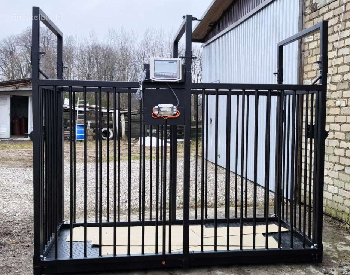 Svarstyklės galviju svėrimui-gyvuliu svėrimas nuo: - nuotraukos Nr. 15