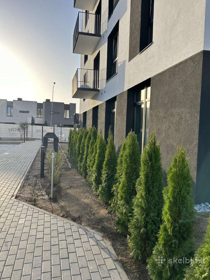 Smaragd tujos – rudens išpardavimas 70-250 cm. - nuotraukos Nr. 9
