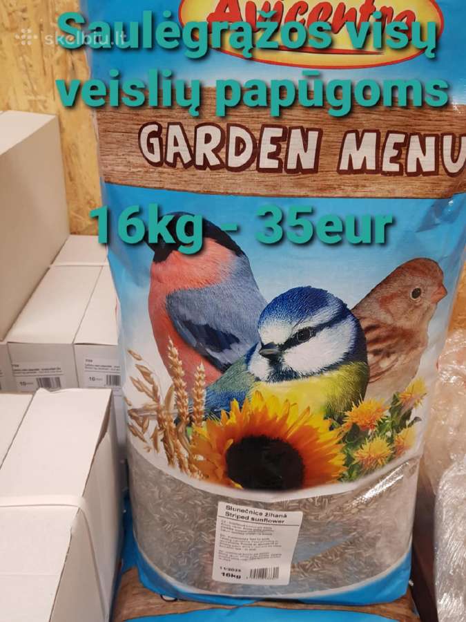 Profesionalus maistas papugoms - nuotraukos Nr. 14