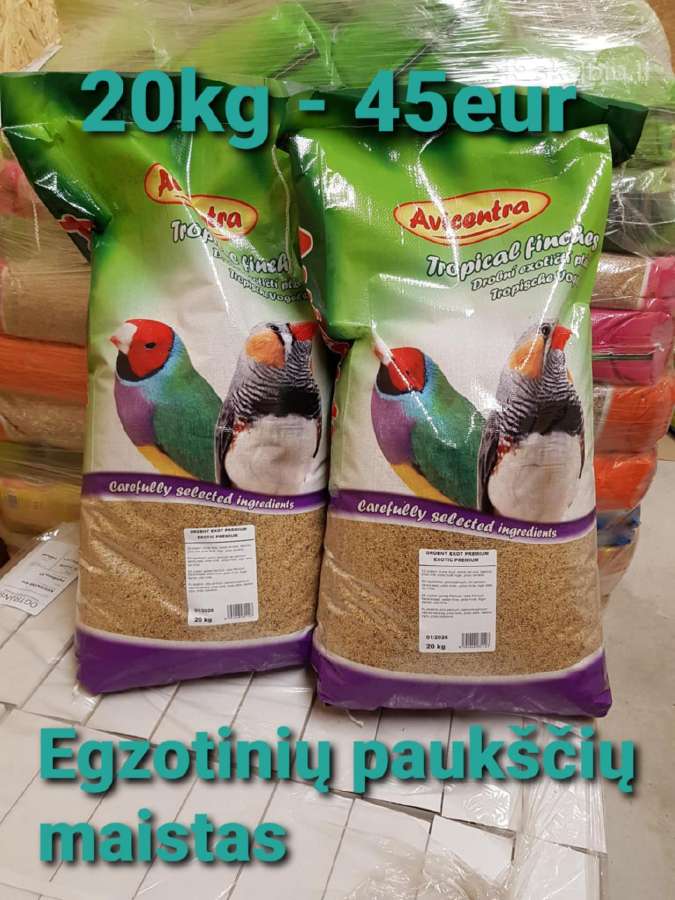 Profesionalus maistas papugoms - nuotraukos Nr. 24