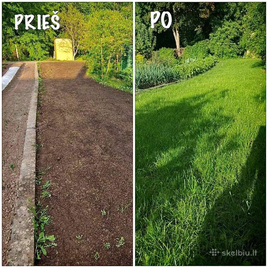 Vejos įrengimas, sklypų tvarkymas, apželdinimas - nuotraukos Nr. 24