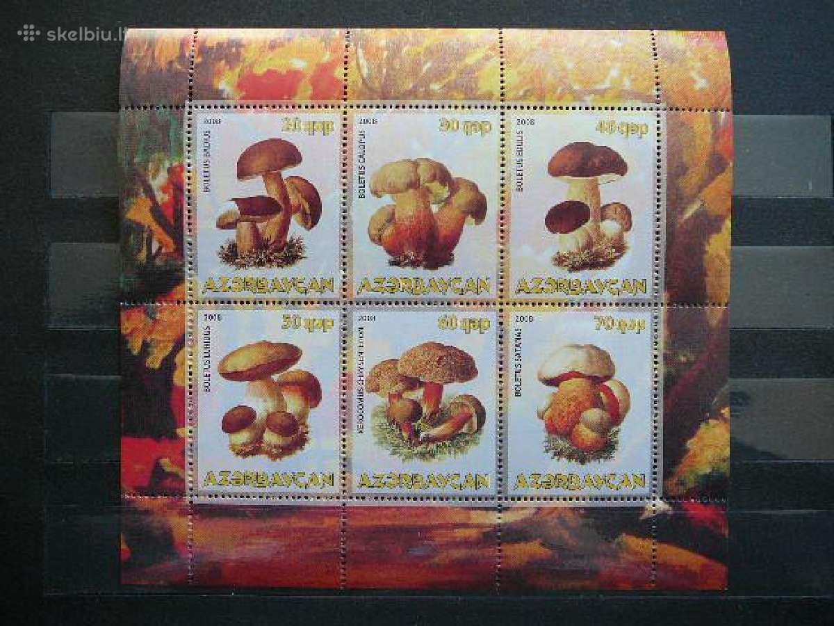Grybai Azerbaidzanas 2008 Mnh az456