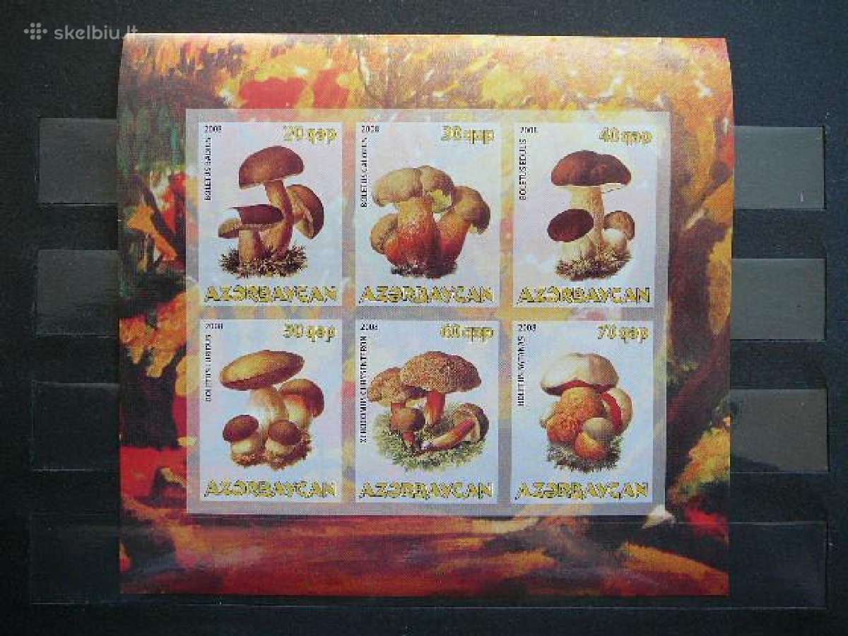 Grybai Azerbaidzanas 2008 Mnh az457