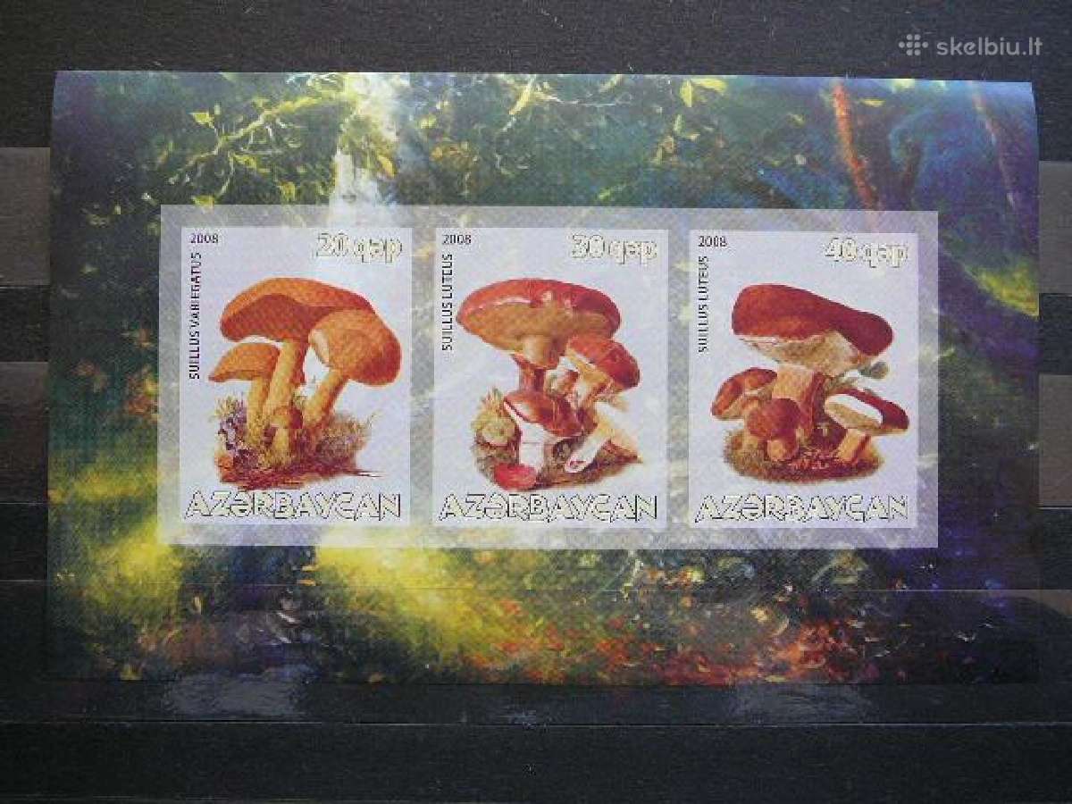 Grybai Azerbaidzanas 2008 Mnh az453