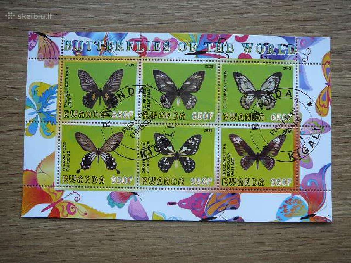 Drugeliai Ruanda 2009 antsp. s378
