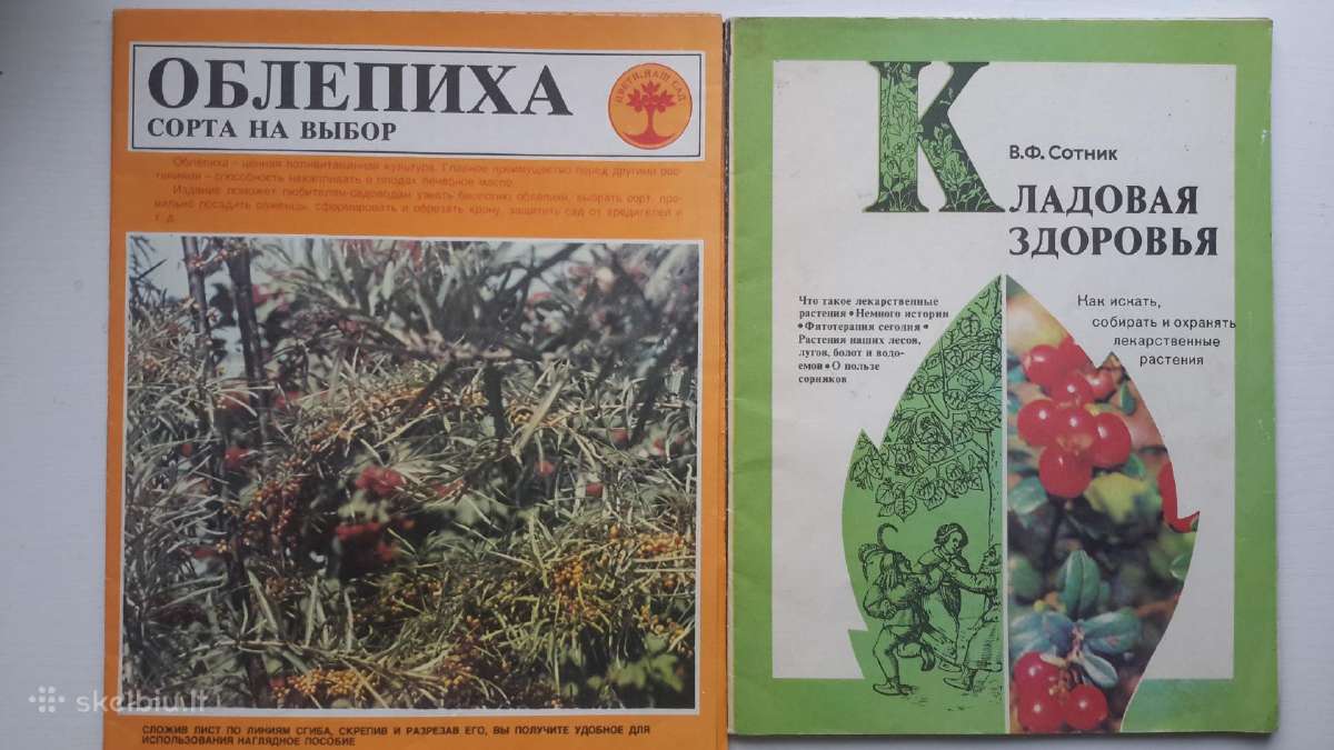Knygos moterims. Ru, Lt - nuotraukos Nr. 8