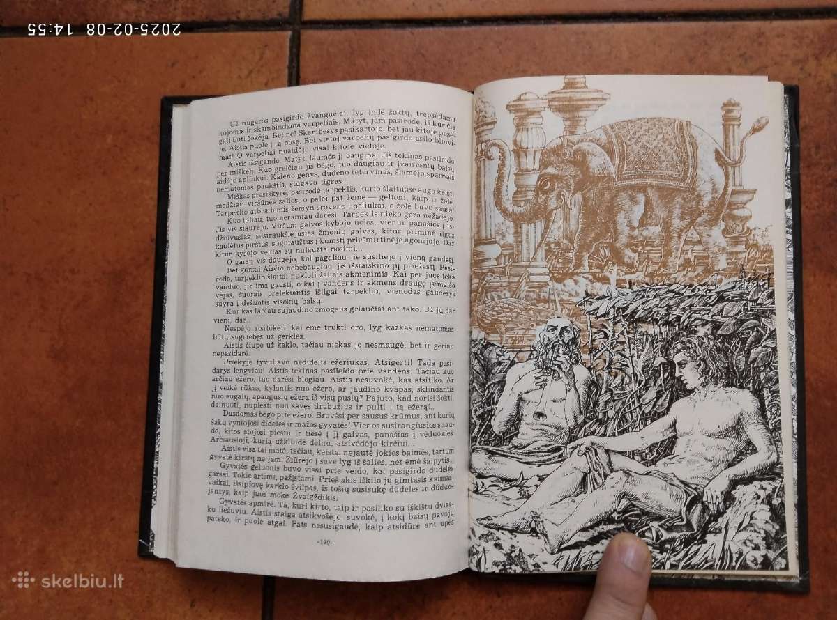 Romualdas Neimantas "Gintaro kelias" 1985 metai. - nuotraukos Nr. 5