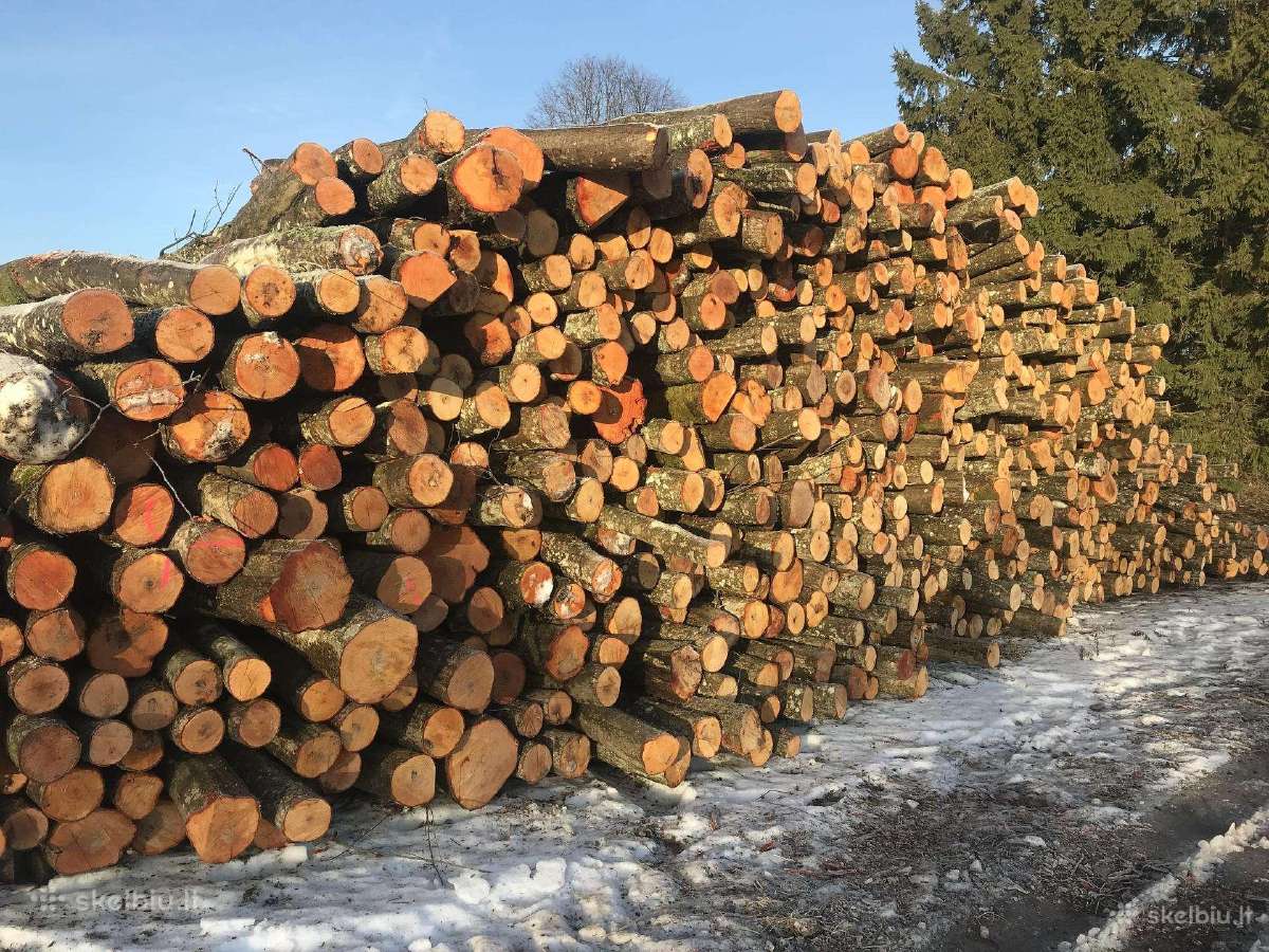 Malkos rasteliais iš pirmų rankų.