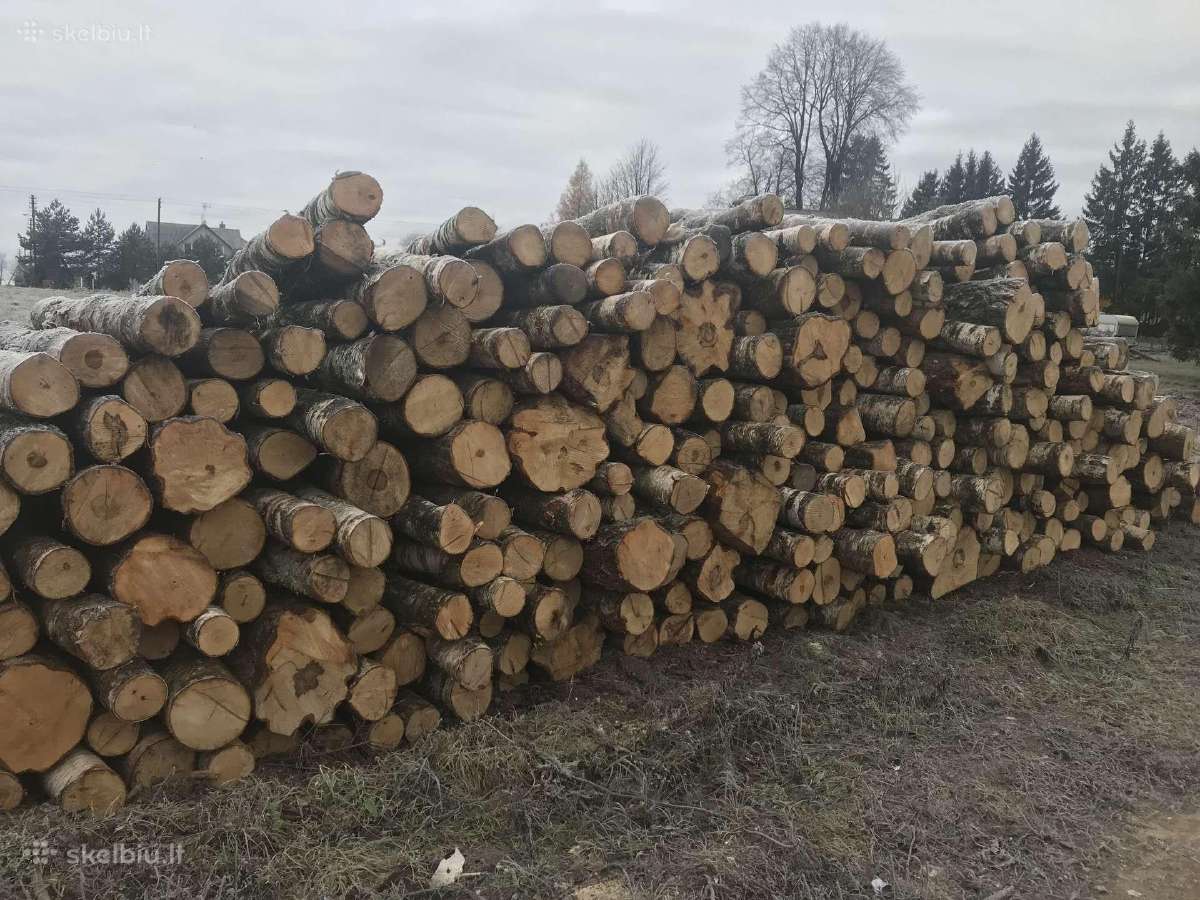 Malkos rasteliais iš pirmų rankų. - nuotraukos Nr. 2