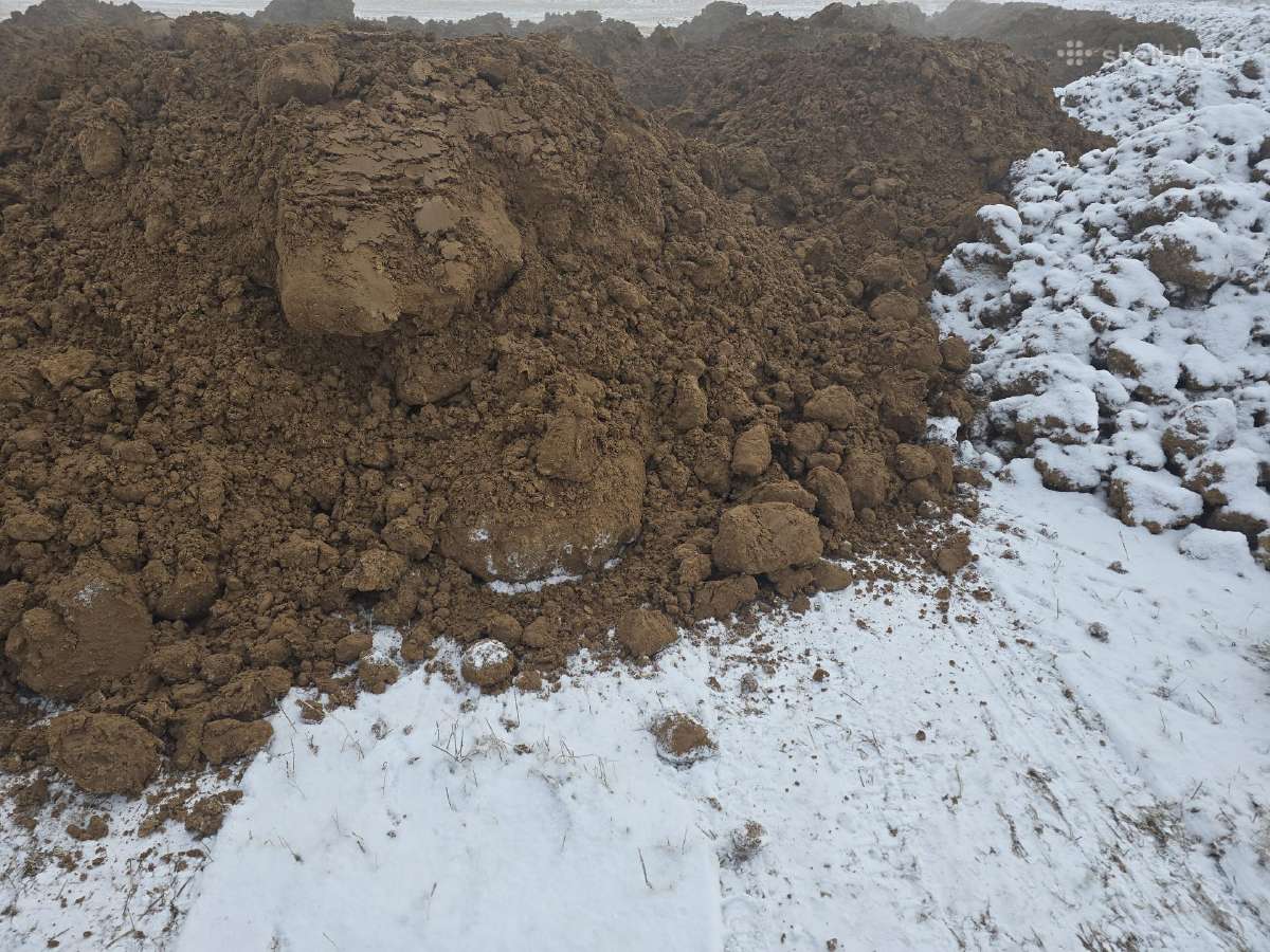 Molis nemokamai , už dyka , dumpiai
